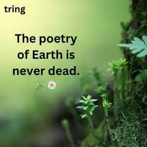 Nature Captions For Instagram (5).png Nature Captions For Instagram (5)