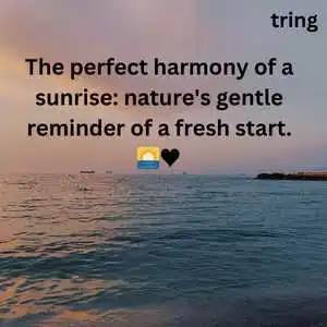 Nature Captions For Instagram (9).png Nature Captions For Instagram (9)