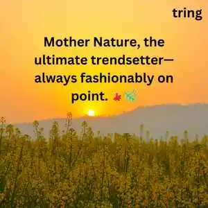 Nature Captions For Instagram (10).png Nature Captions For Instagram (10)