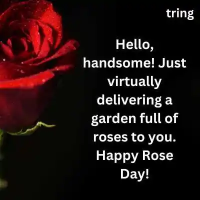 Rose Day Video Wishes For Him.png Rose Day Video Wishes For Him