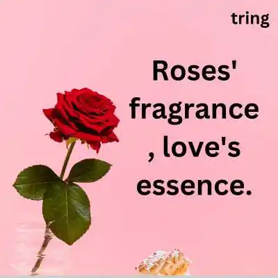 Short Rose Day Captions.png Short Rose Day Captions