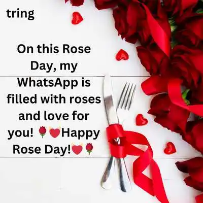 Rose Day Wishes For Boyfriend on WhatsApp