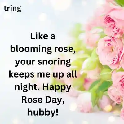 Funny Rose Day Wishes For Husband .png Funny Rose Day Wishes For Husband