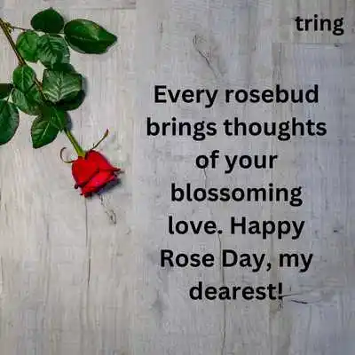 Rose Day Greeting Card Messages For Boyfriend