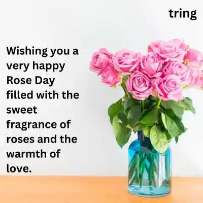 Rose Day Wishes.png Rose Day Wishes