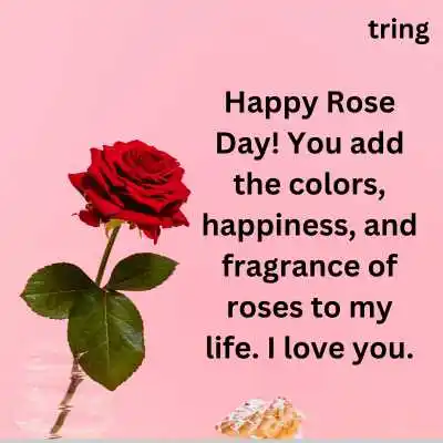 Romantic Happy Rose Day Husband Wishes.png Romantic Happy Rose Day Husband Wishes