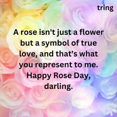 WhatsApp Rose Day  Message For Husband.png WhatsApp Rose Day  Message For Husband