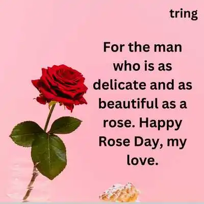 Romantic Rose Day Wishes For Boyfriend 