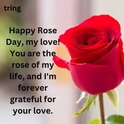 Wishes on Happy Rose Day My Love Husband.png Wishes on Happy Rose Day My Love Husband