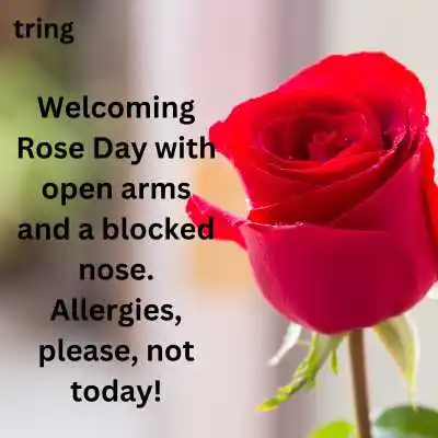 Funny Rose Day Captions.png Funny Rose Day Captions