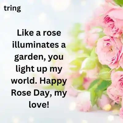 Rose Day Video Wish For Boyfriend