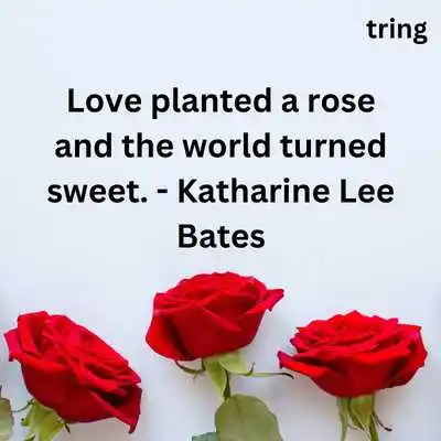 Rose Day Quotes For Boyfriend