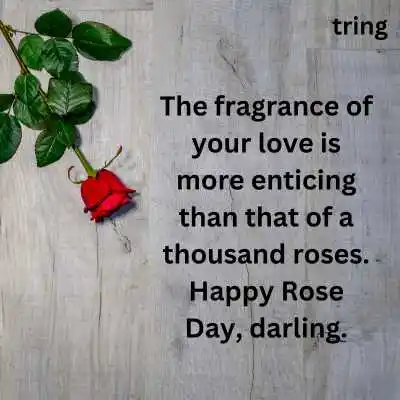 Rose Day Quotes For Husband.png Rose Day Quotes For Husband