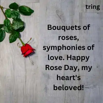 Unique Rose Day Captions.png Unique Rose Day Captions