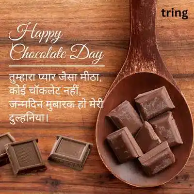 Happy Chocolate Day My Love Hindi Shayari .png Happy Chocolate Day My Love Hindi Shayari