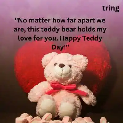 Romantic Teddy Day Message for Wife.png Romantic Teddy Day Message for Wife