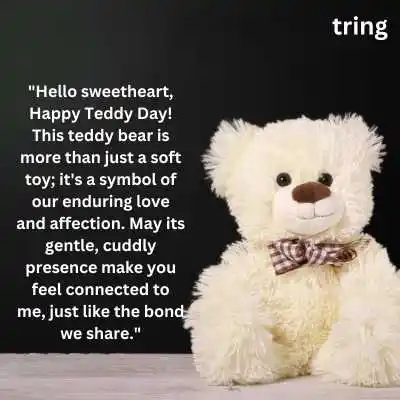 Video Teddy Day Messages.png Video Teddy Day Messages