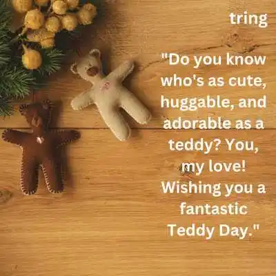 Video Teddy Day Wishes For Boyfriend From Celebrities.png Video Teddy Day Wishes For Boyfriend From Celebrities