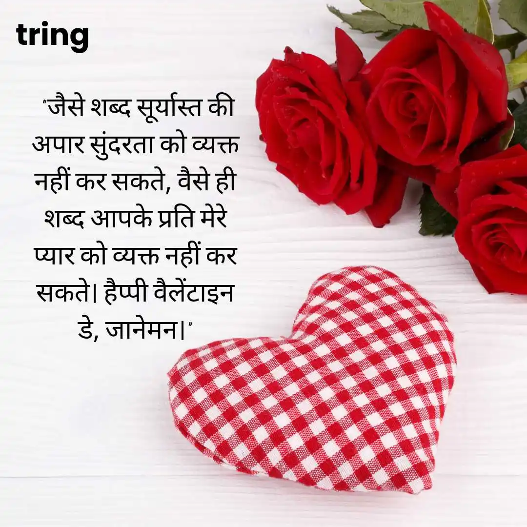 Valentine's Day Messages in Hindi.png Valentine's Day Messages in Hindi
