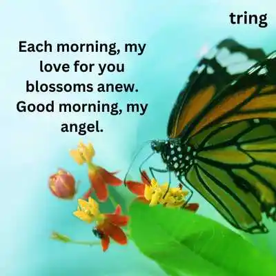 Romantic Good Morning Wife Quotes.png Romantic Good Morning Wife Quotes