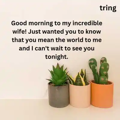 Good Morning Video Messages For Wife.png Good Morning Video Messages For Wife