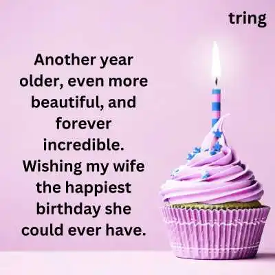 100+ Happy Birthday Wife Status With Images