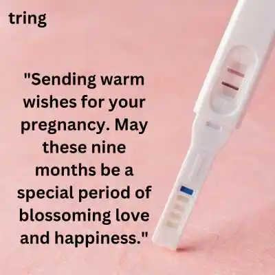 Pregnancy Wishes.png Pregnancy Wishes
