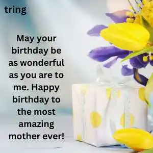 Birthday Wishes For Mother (8).png Birthday Wishes For Mother (8)