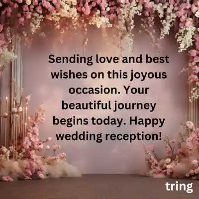 Wedding Video Wishes For Reception 