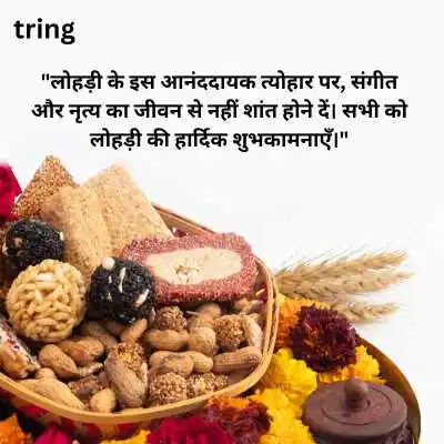 Happy Lohri Wishes in Hindi