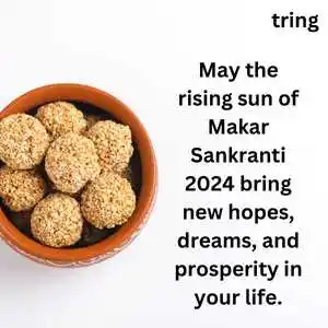 Makar Sankranti Wishes (1).png Makar Sankranti Wishes (1)