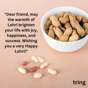 Happy Lohri Wishes And Messages (1)