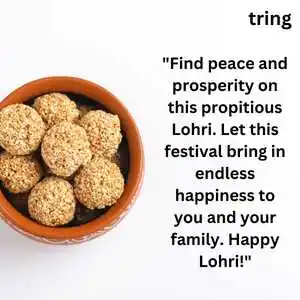 Happy Lohri Wishes And Messages (10)