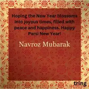 Happy Navroz Wishes (8).png Happy Navroz Wishes (8)