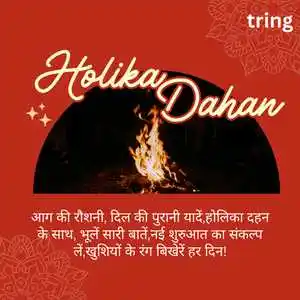 Holika Dahan Shayari (5)