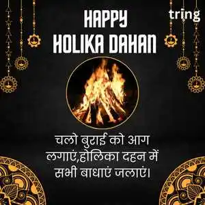 Holika Dahan Shayari (9)
