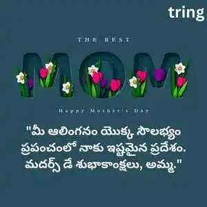 Mothers Day Wishes In Telugu (4)