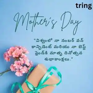 Mothers Day Wishes In Telugu (5)
