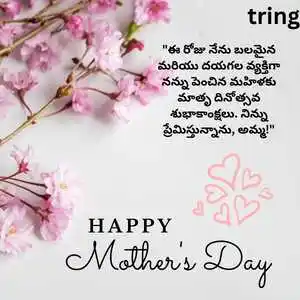 Mothers Day Wishes In Telugu (6)