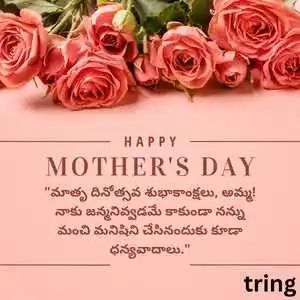 Mothers Day Wishes In Telugu (1)