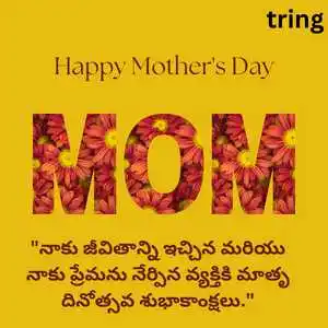 Mothers Day Wishes In Telugu (9)